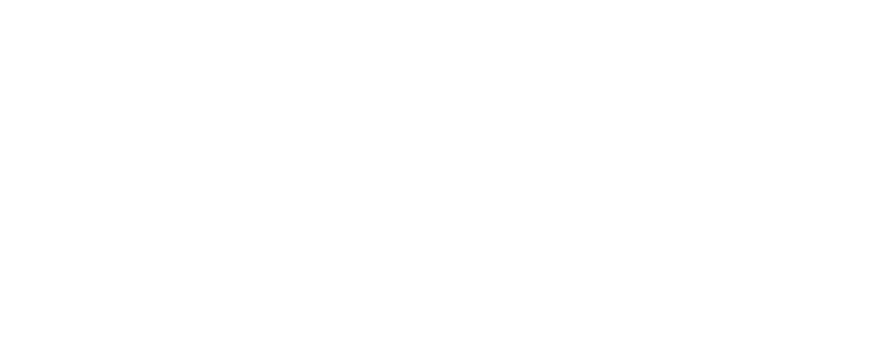 Partner company 2